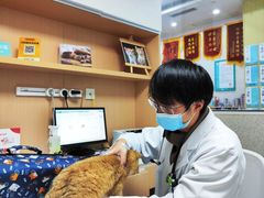 -谐和贝康宠物医院24小时·宠保定点(急重症转诊中心)