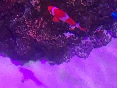 -沈阳海洋探索中心