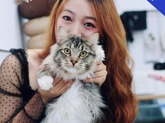-猪盟咖啡店(玖洲道店)