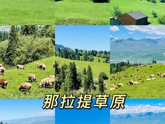 -新疆那拉提国家旅游度假区