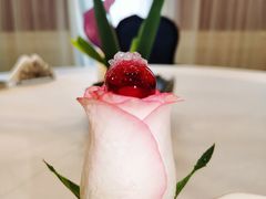 燕窝玫瑰之恋-虹御轩·传承江浙菜(虹桥店)