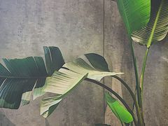 -山下C5cafe(惠通时代广场店)