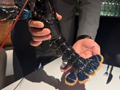 -Oyster Talks 四度蚝法餐厅