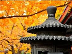 -颐和园