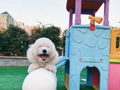 -柏萃动物医院·骨科·牙科