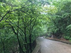 -北京上方山国家森林公园