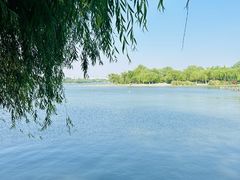 -济南大明湖景区
