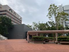 -香港大学