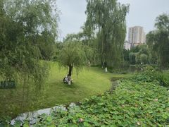 -沐仙湖湿地公园