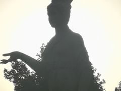 -洛阳市牡丹公园