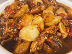 青蛙-铁头烧菜馆(立新路店)