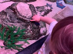 -沈阳海洋探索中心