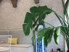 -欢饮(王府井总店)