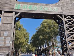 -溱湖国家湿地公园