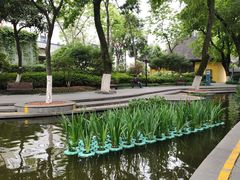 -常州古运河南大街文化旅游区-人民公园