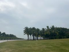 -深圳湾公园(南山区)
