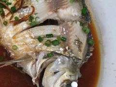 清蒸西江边鱼-西江河鲜·趣苑酒楼(鼎湖店)