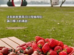 -上海山野camping·户外天幕烧烤·团建拓展营地