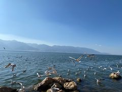 -大理洱海