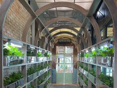 -Ohkajhu Organic Farm Sansai