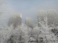 -雾凇岛