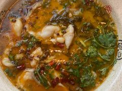 酸菜鱼-明城饭店(万科九都荟店)