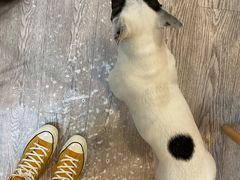 -VOYAGE COFFEE(北锣鼓巷店)