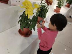 -汇龙潭