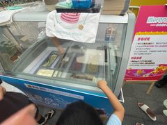-维尔纳斯·生日蛋糕动物奶油冰淇淋蛋糕(人大店)