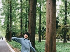 -东平国家森林公园