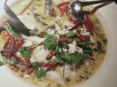 -渔见·精品川菜·老坛酸菜鱼(大朗店)