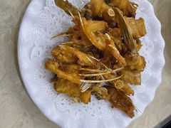 -源港渔村-中山脆肉鲩(博罗店)