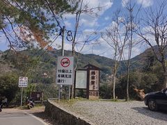 -杨家堂村