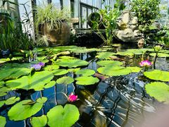 -国家植物园南园