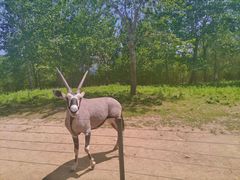 -大连森林动物园