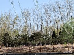 -燕郊植物园