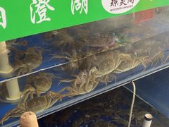 -阳澄湖大闸蟹·琼灵阁牌品牌连锁(吴中总店)