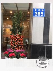 -脱白计划纹身集团