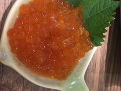 -红叶日料·放题·海胆·定食(星海店)