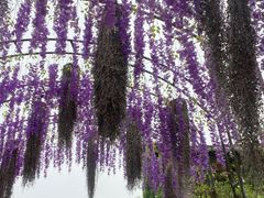 -茅山东方盐湖城景区