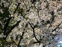 -章太炎故居