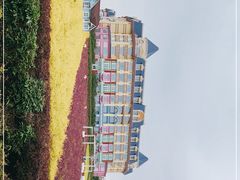 -百万葵园