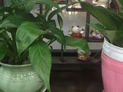-桂桂茶(万嘉广场店)