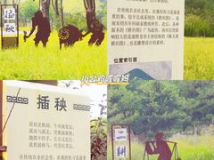 -北坞公园