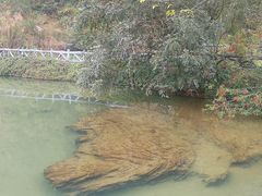 -靖西鹅泉风景区