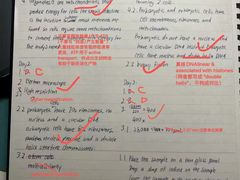 -JT PREP国际学科课程·IB·AP·Alevel(陆家嘴校区)