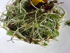 -荟廷·晶萃(陆家嘴尚悦湾店)