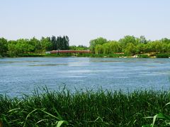 -马家湾湿地公园