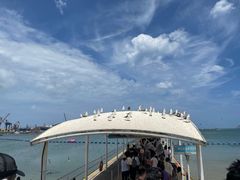 -海驴岛(荣成市)