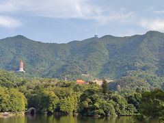-深圳仙湖植物园